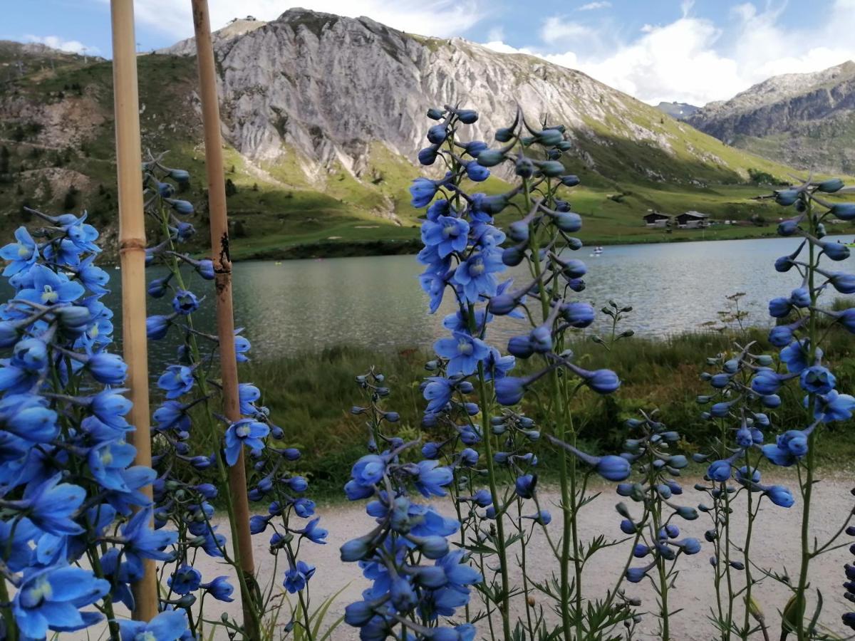 Résidence Lawawi prés de la gare au calme Albertville Esterno foto